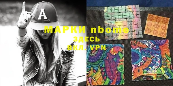 твердый Бородино