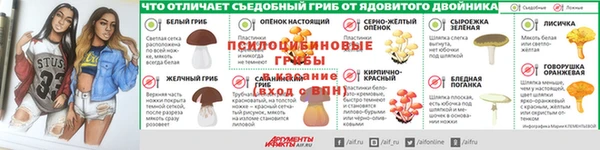 твердый Бородино