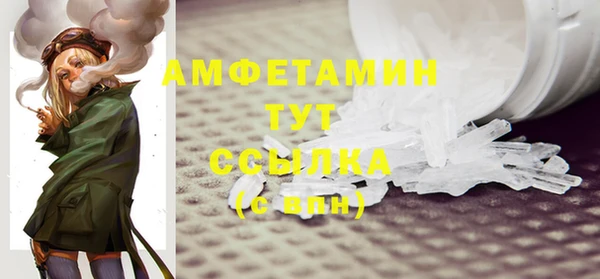 дживик Бронницы