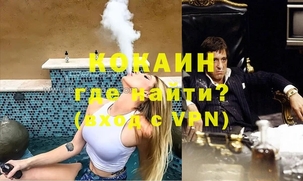 твердый Бородино