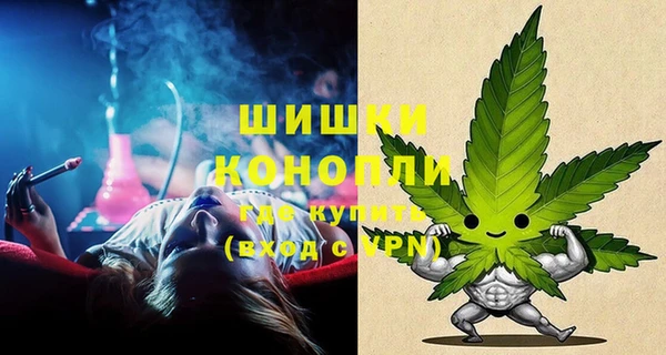 твердый Бородино