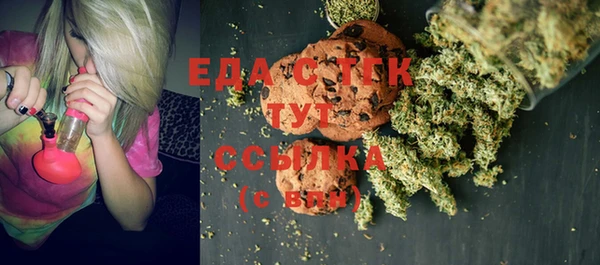 дживик Бронницы
