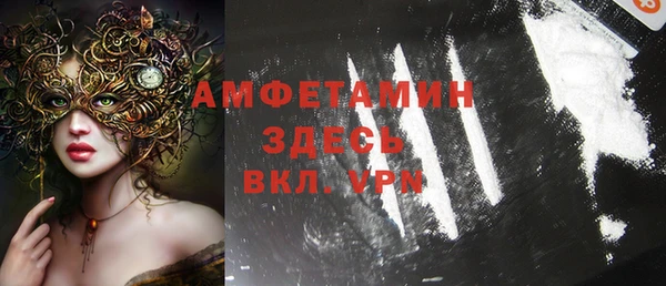 твердый Бородино
