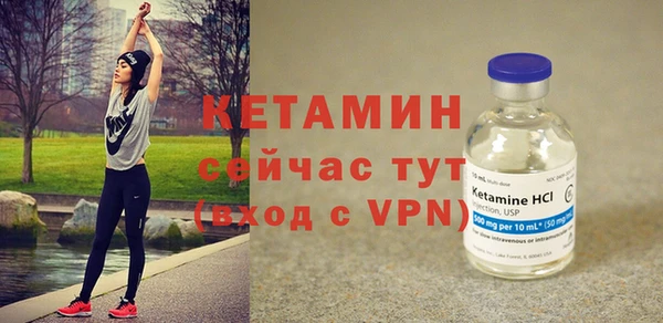 твердый Бородино
