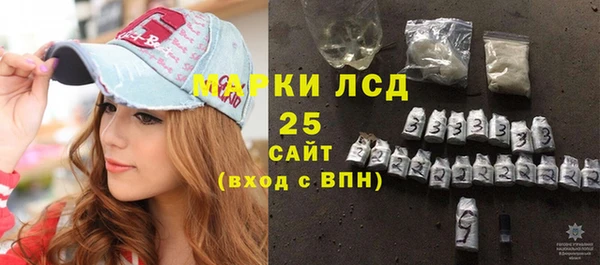 твердый Бородино