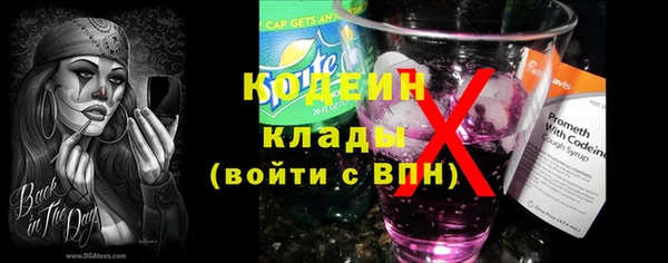 дживик Бронницы