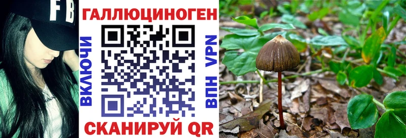 hydra ссылки  Щучье  мориарти клад  сколько стоит  Галлюциногенные грибы Magic Shrooms 